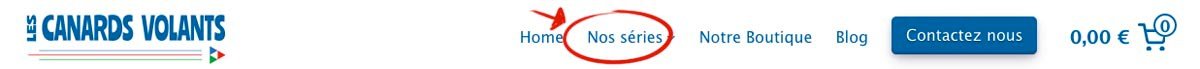 On voit en gros plan les différents menus que les internautes pourront retrouver sur le site.